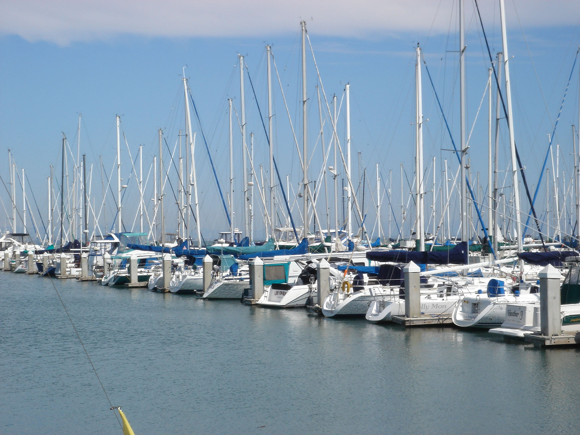 Rows of sailboats in the water near Bayside Village in San Francisco.